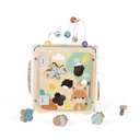 GRANDE CUBE MULTI ACTIVITES j05142 j26 sajou