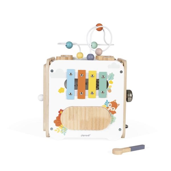 GRANDE CUBE MULTI ACTIVITES j05142 j26 sajou