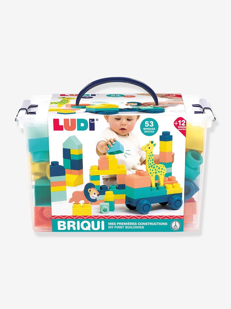 BRIQUI J26 SAJOU