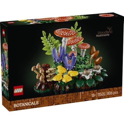LES CHAMPIGNONS DES BOIS 11505
