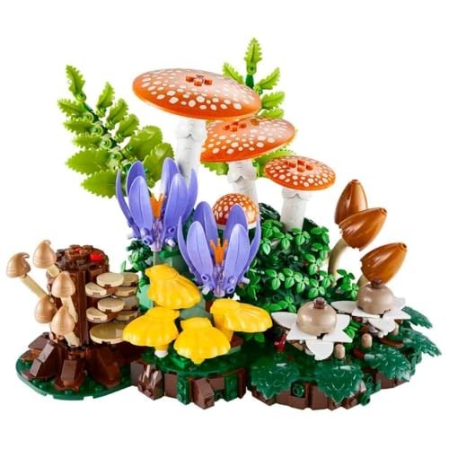 LES CHAMPIGNONS DES BOIS 11505