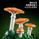 LES CHAMPIGNONS DES BOIS 11505