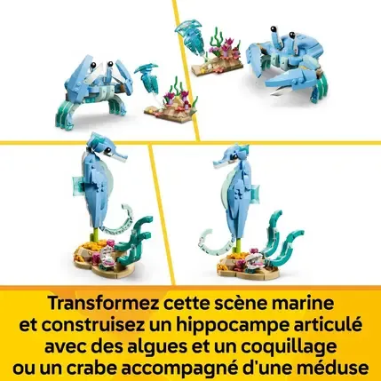 7b5dc6b0caaa25f78f931f5144f5ca4b31ab4004_41272075_04.webp