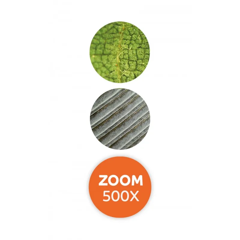 microscope-loupe-video (1).webp