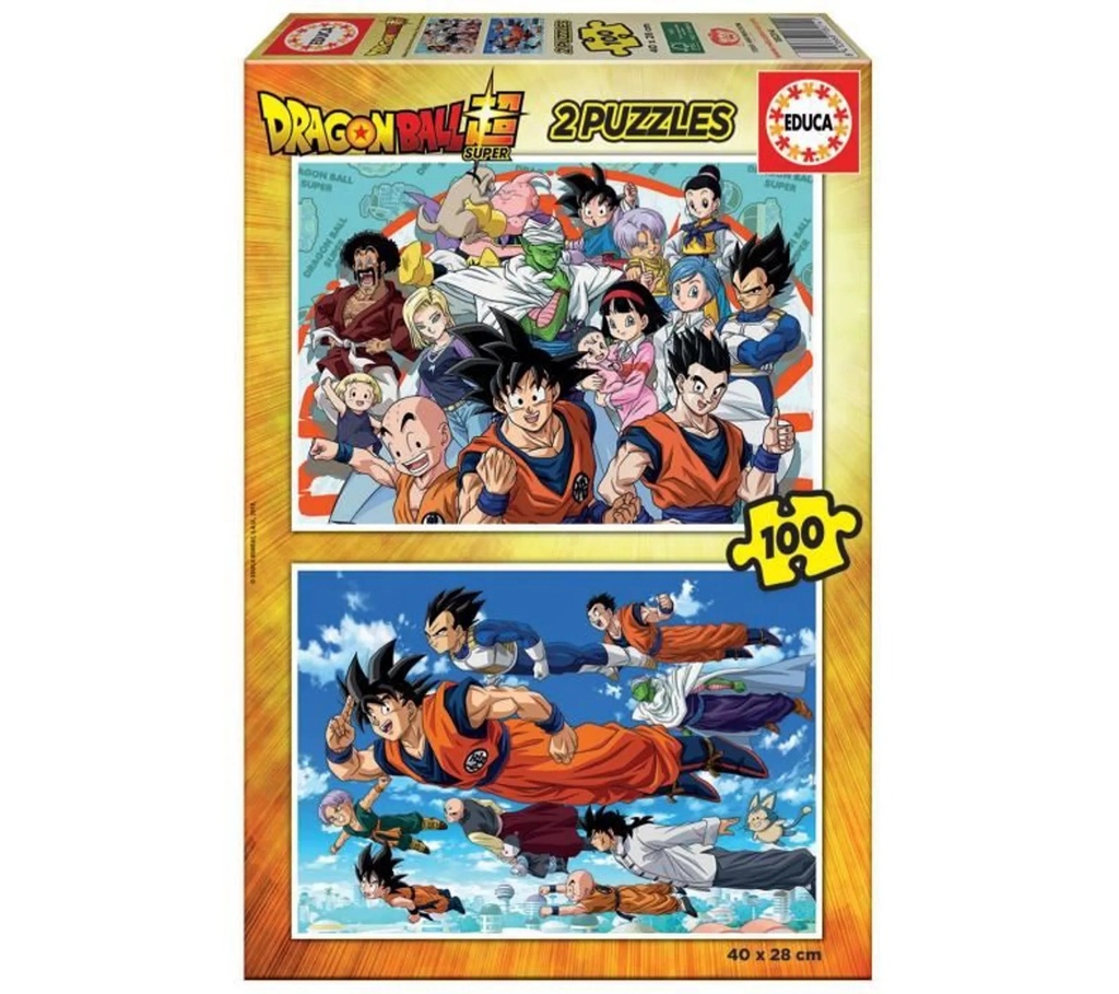 PUZZLE DRAGON BALL 2*100P 18214