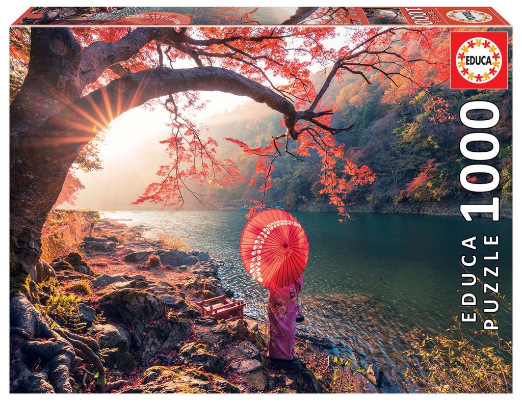 PUZZLE 1000P 18455