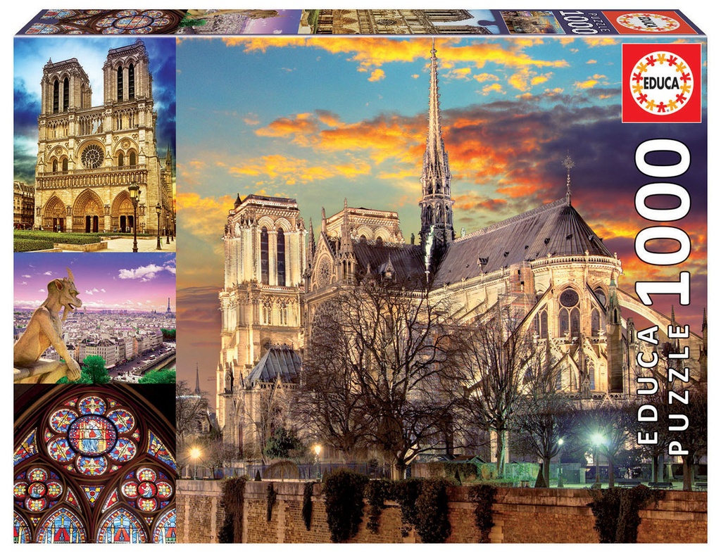 PUZZLE 1000 18456