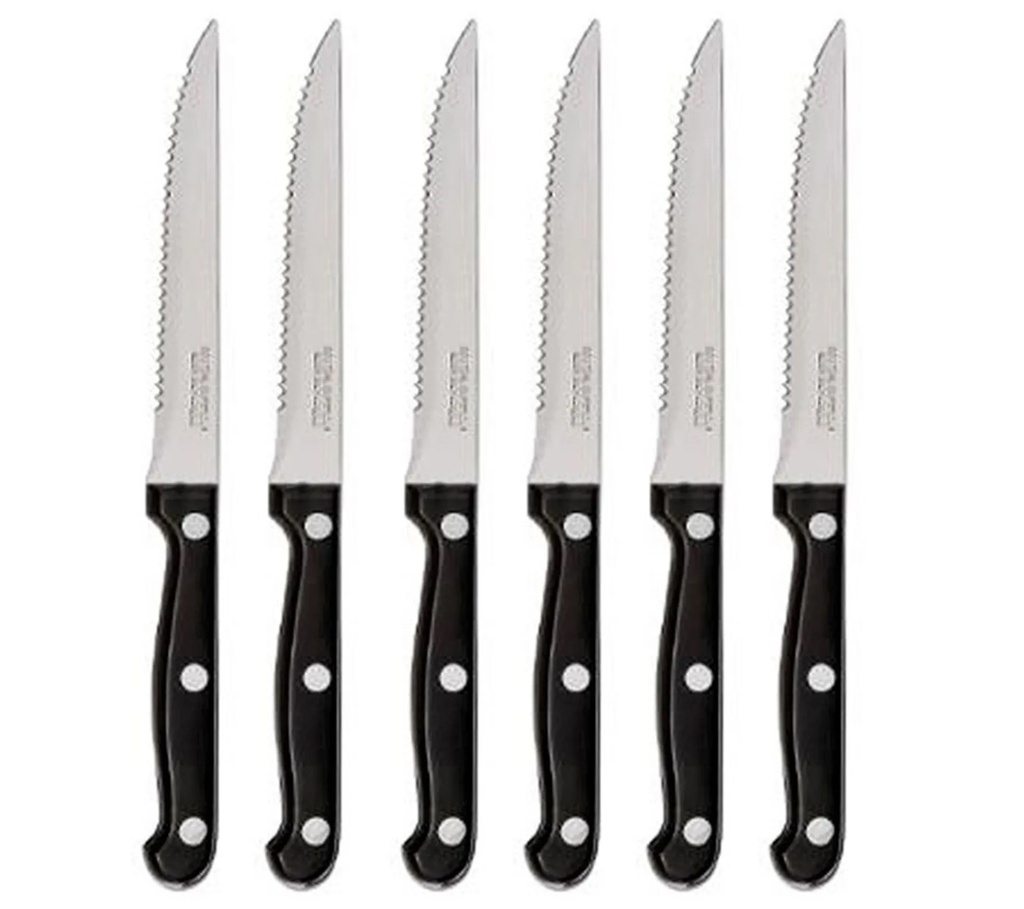 COUTEAUX A STEAK *6 100210