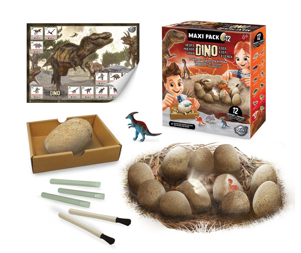 Dino egg maxi pack 2138  J24