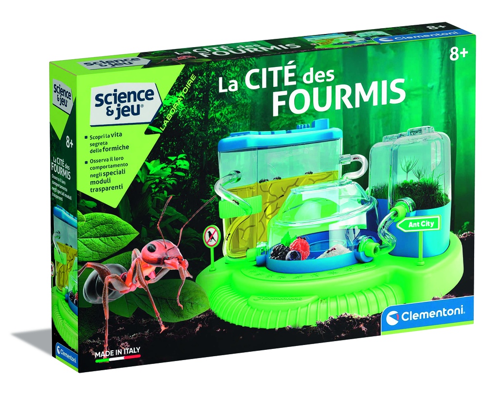 La cité des fourmis 52757  J24