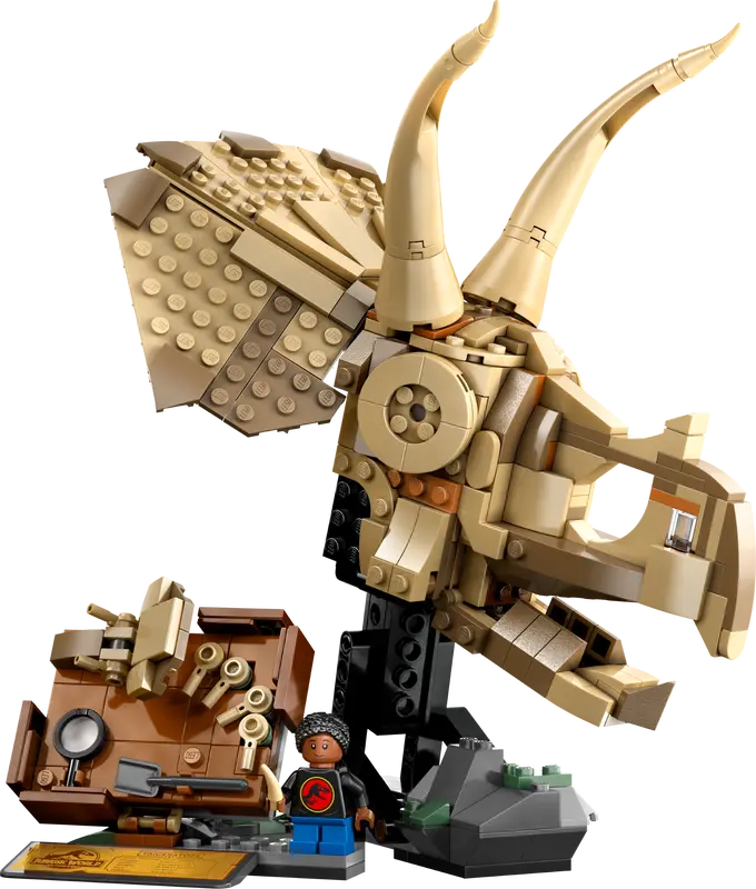 [225804LEG] Les fossiles de dinosaures :..  76969  J25
