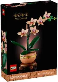 L’orchidée miniature  10343  J25 SAJOU