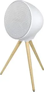 ENCEINTE HIFI PORTABLE ML-655 BT  J25