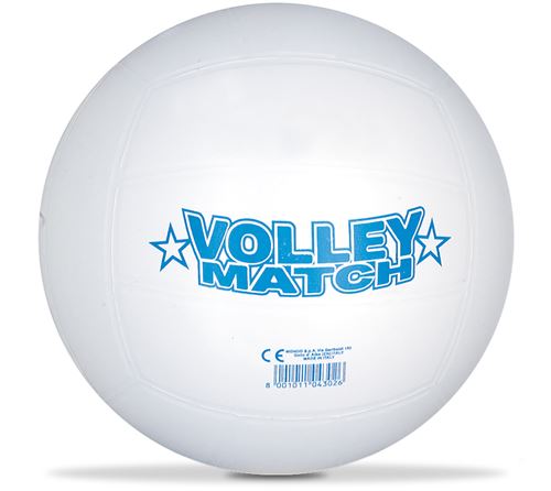 BALLON VOLLEY D22 A9600104