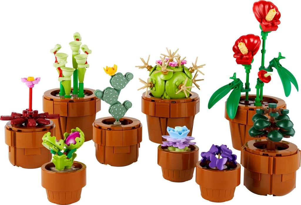 LES PLANTES MINIATURES 10329