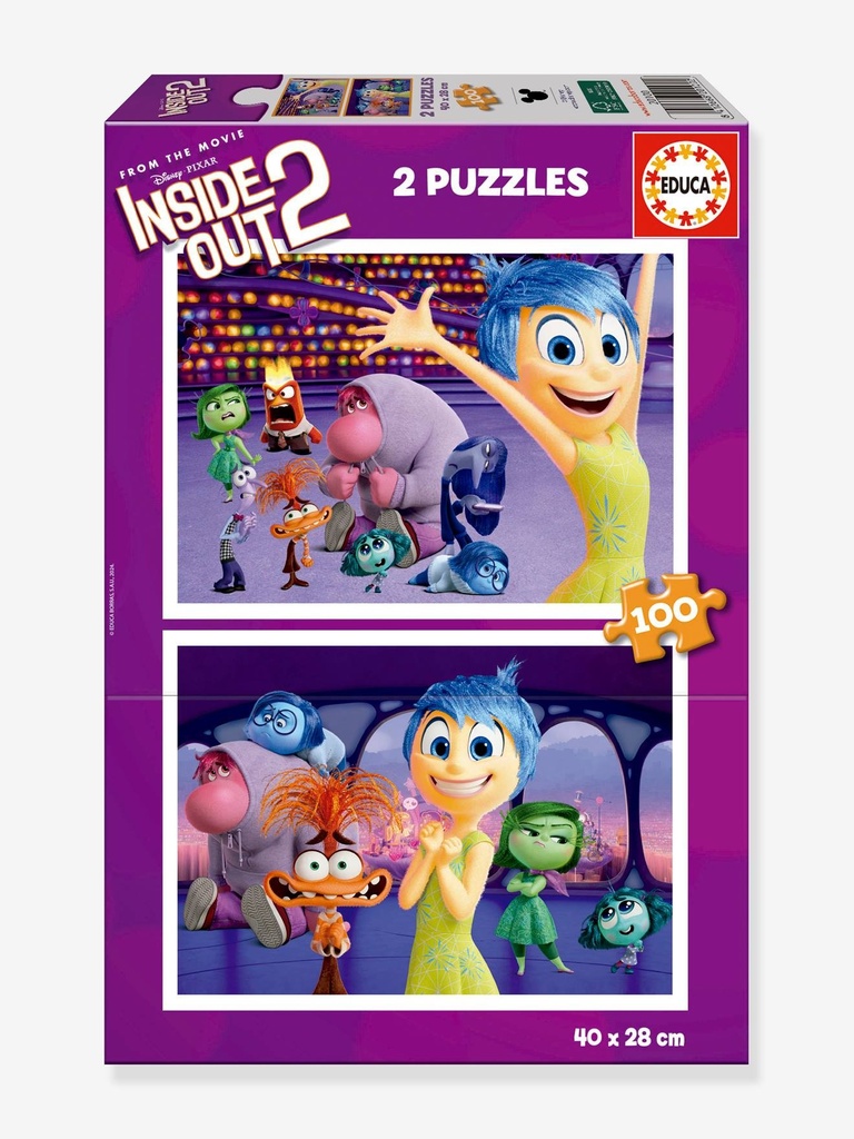 PUZZLE 2*100 INSIDE 20100