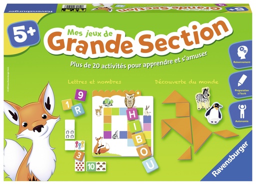 [221407RAV] MES JEUX GRANDE SECTION 245246 