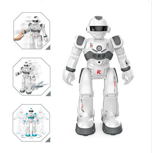 [224883IMA] ROBOT R/C  8899  J24