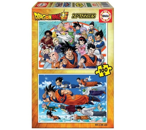 [EDU18214] PUZZLE DRAGON BALL 2*100P 18214