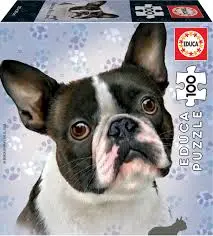 [EDU18802] PUZZLE 100P FRENCH BULLDOG 18802