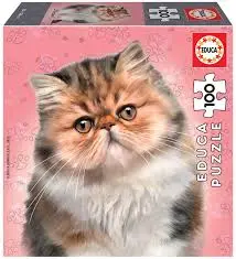 [EDU18804] PUZZLE 100P PERSIAN 18804
