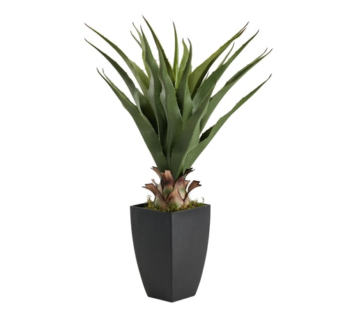 [JJA103165] AGAVE POT RECT H73