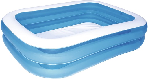[BEE54006] PISCINE 262*175*51 1514006