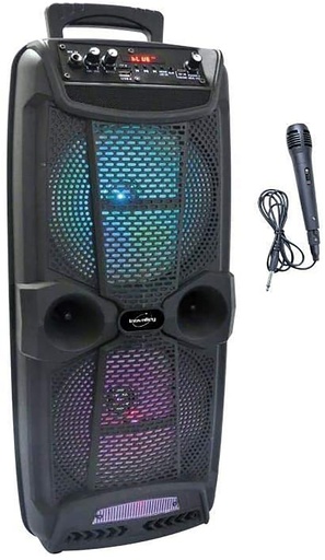 [2221236INO] ENCEINTE 800W KA20 