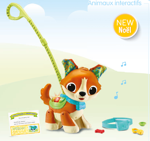 [223169VTE] TITOU MON TOUTOU BALADE MAGIQUE 552565 J23 VTECH