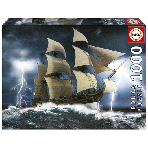 [EDU19556] PUZZLE 1000P 19556
