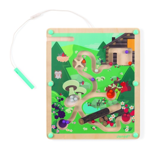 [223130JUR] LABYRINTHE A BILLES FORET J05311  J23