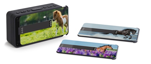 [2231147BIG] Réveil double alarme R16HORSES  J23