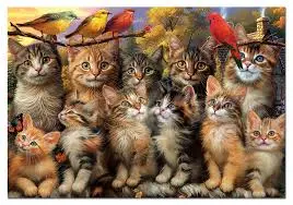 [EDU20241] PUZZLE 500P CHATONS ET OISEAUX 20241