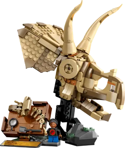 [225804LEG] Les fossiles de dinosaures :..  76969  J25